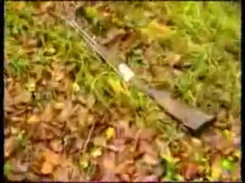 Caça à Galinhola na Turquia   parte 2