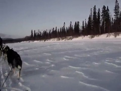 ballade en traineau à chiens - 04/02/2010