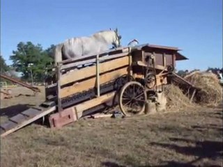 Montaillé_batteuse_cheval