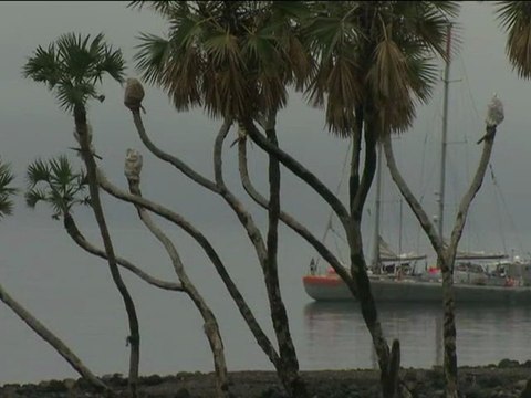 Mdd tv : Tara Océans dans la baie du Goubet