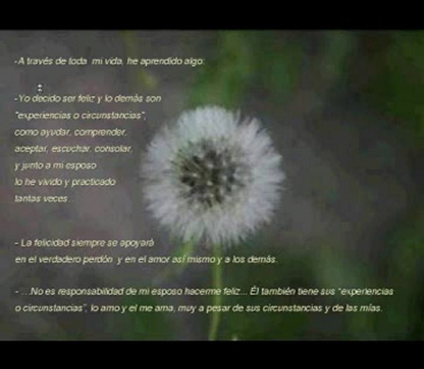 115 El Secreto - The Secret de Rhonda Byrne