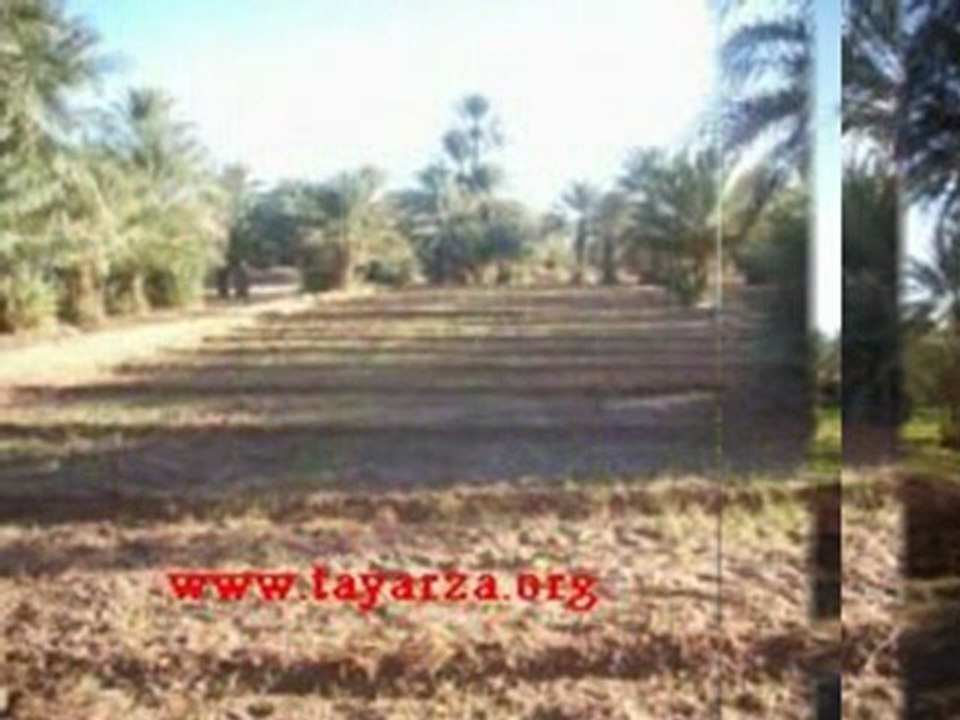 rahim maya chel7a