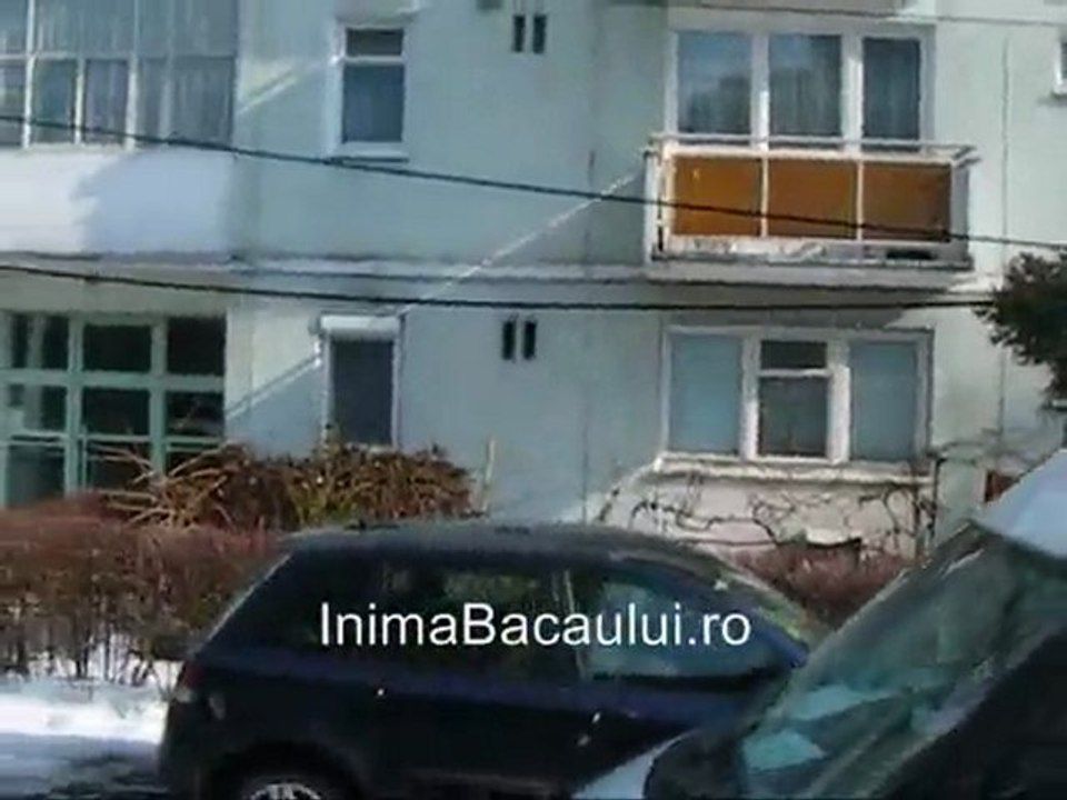 Cabluri cazute in strada