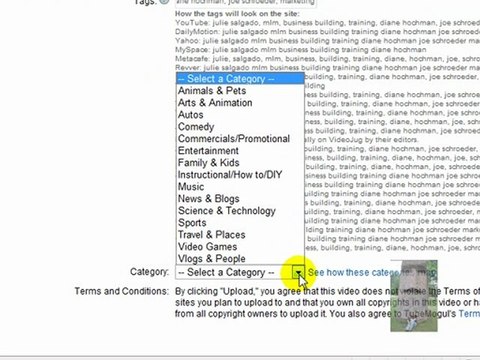 TubeMogul + FREE X 14+ Sites = LEVERage Baby!