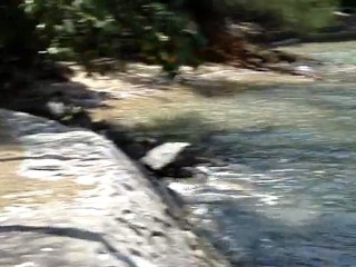 Le varan de Sisters island