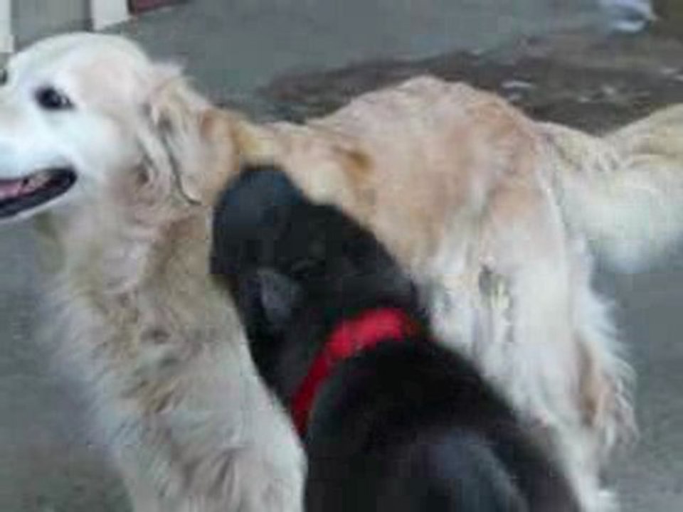 MAc et la fille