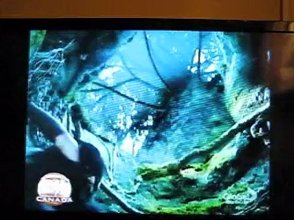 Avril Lavigne Alice Video Preview 1