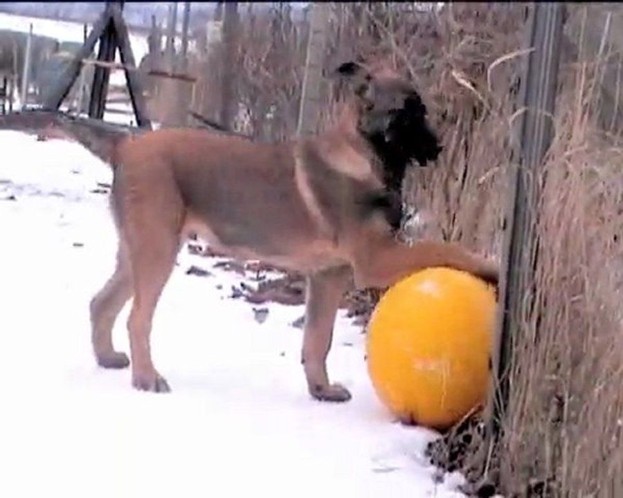 Ecco de Kerprigent-Wintergames - Jänner 2010