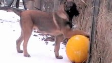 Ecco de Kerprigent-Wintergames - Jänner 2010