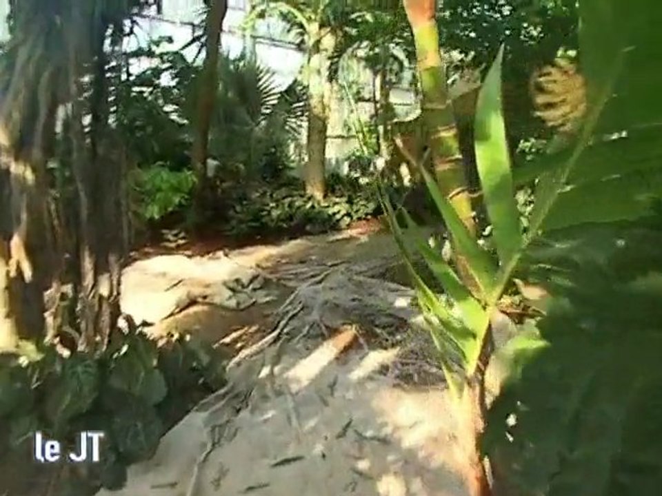 Terra Botanica aujourd'hui!(Angers)