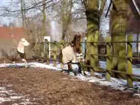 Heïdi & Richesse au Haras