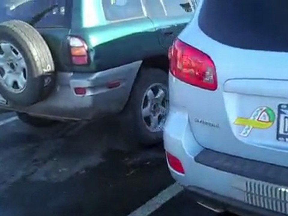 "Data Network Affiliates" - Free MLM - "DNA" - Narc That Car