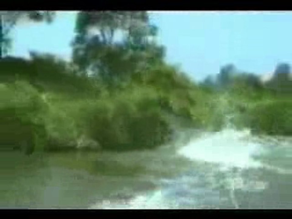 regis sur l'eau Best Of