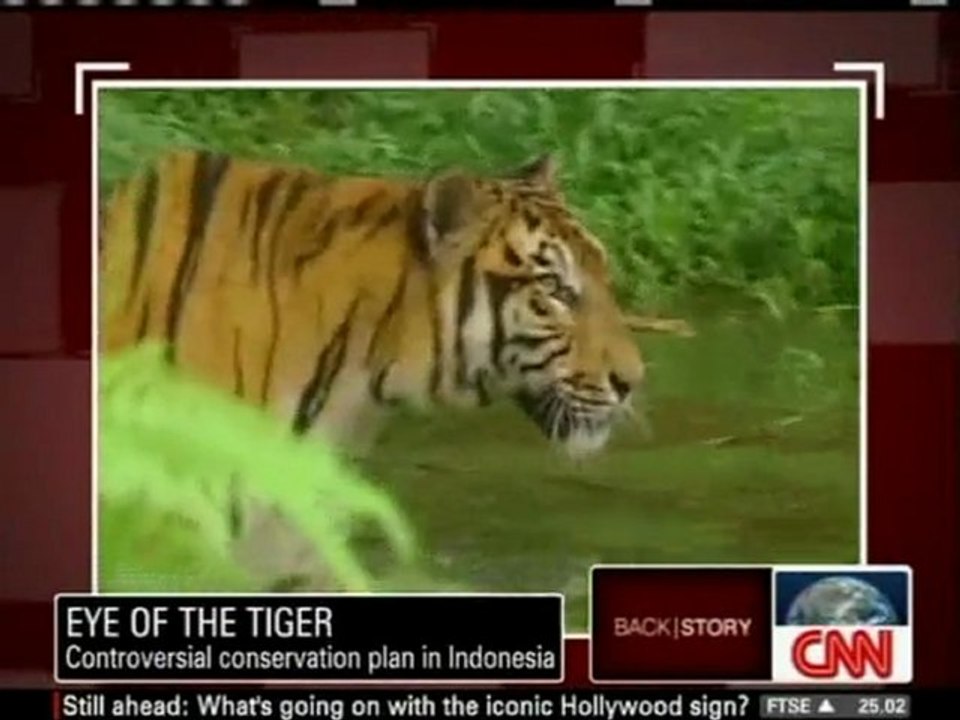 BkS 02/15 Arwa Damon