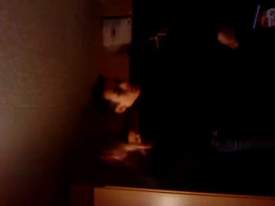 MOV00049