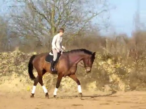 wes mars 2009 trot 1 (6 mois de travail)