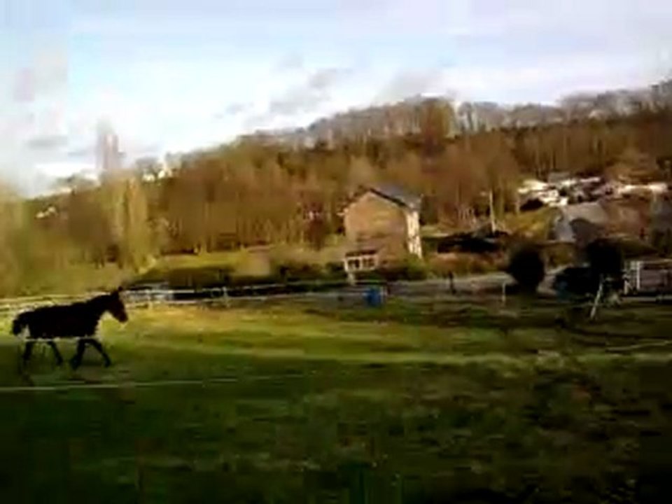 1er Février *2*