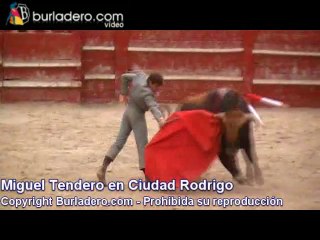 Ciudad Rodrigo, 16 de Febrero