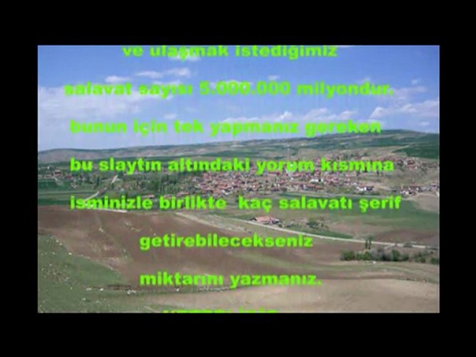 salavat_xvid