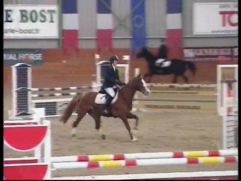 Nividic d'Orgères - Barbizon - 110