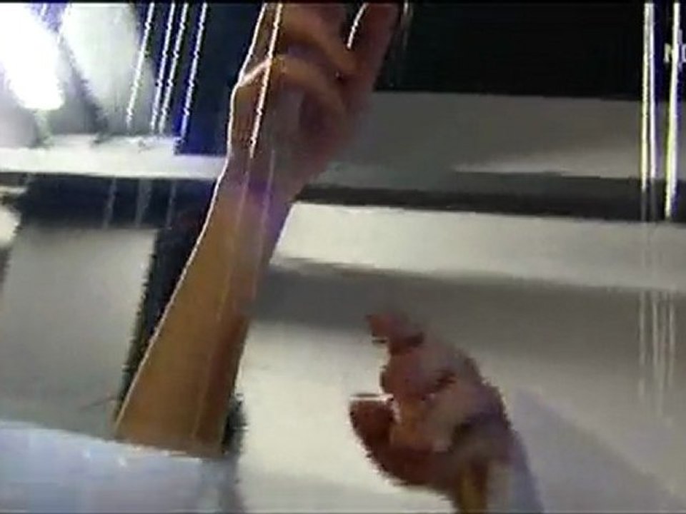 Schleswig-Holstein-Magazin NDR