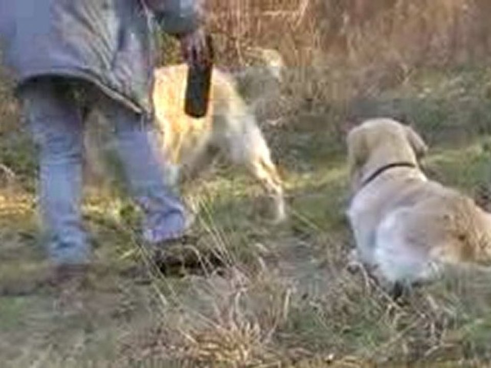 16 fev  canel mémoire en ligne