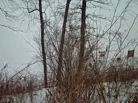 Corey Lake - Lakefront Lot For Sale