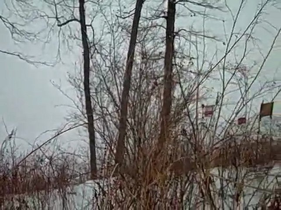 Corey Lake - Lakefront Lot For Sale