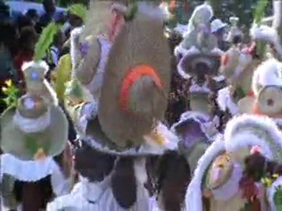 carnDG14fEVR2010papv5