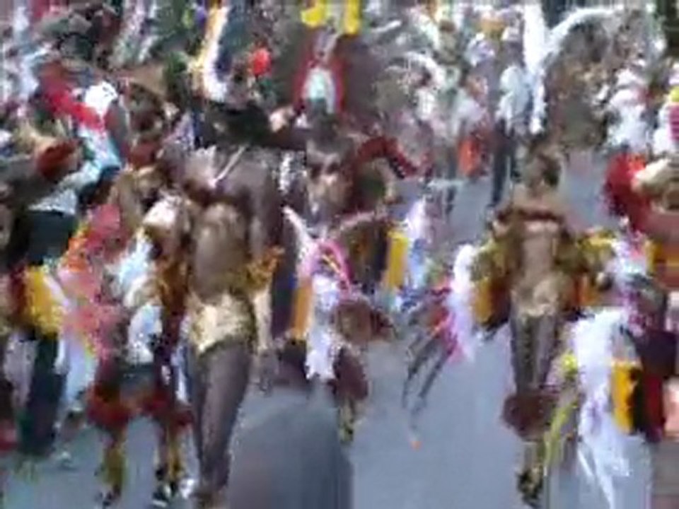 carnDG14Fevr2010PAPV6