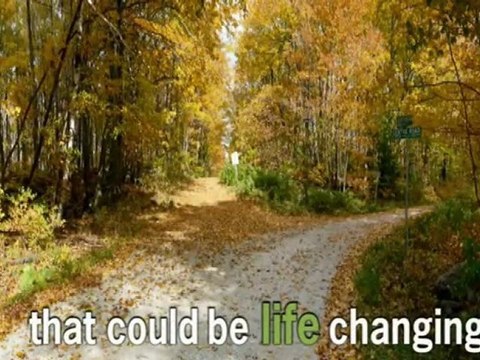 Public Court Records Search