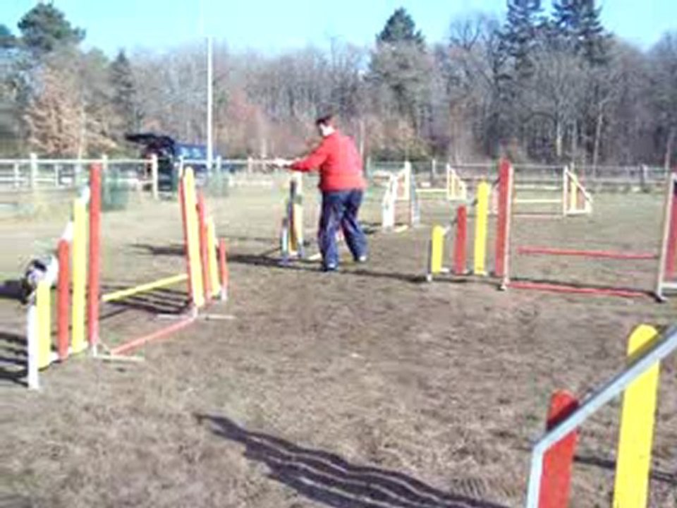 dove entrainement agility 2