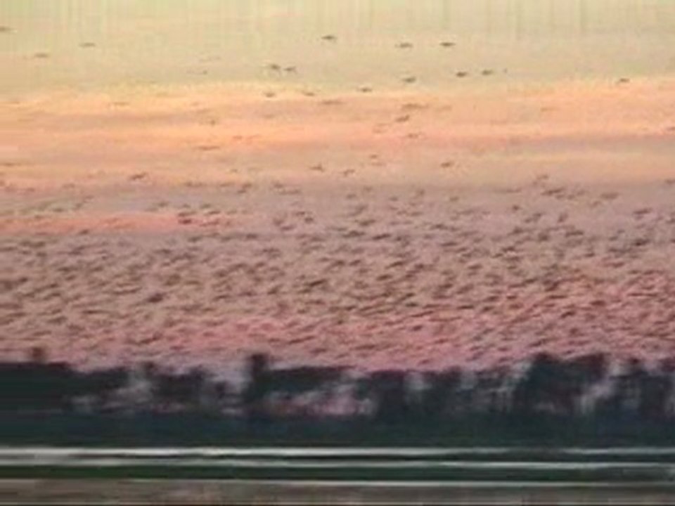 Argentine Janvier 2010