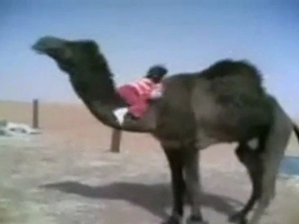 Bellehi ya mol ejmel rakebni