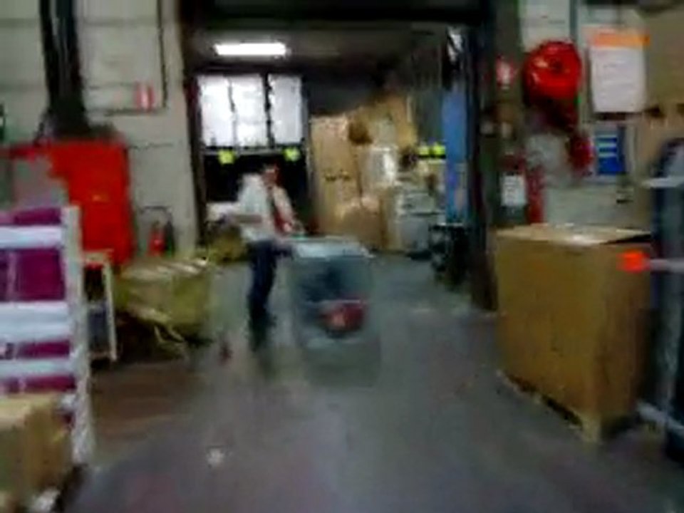 Youyou Jackass