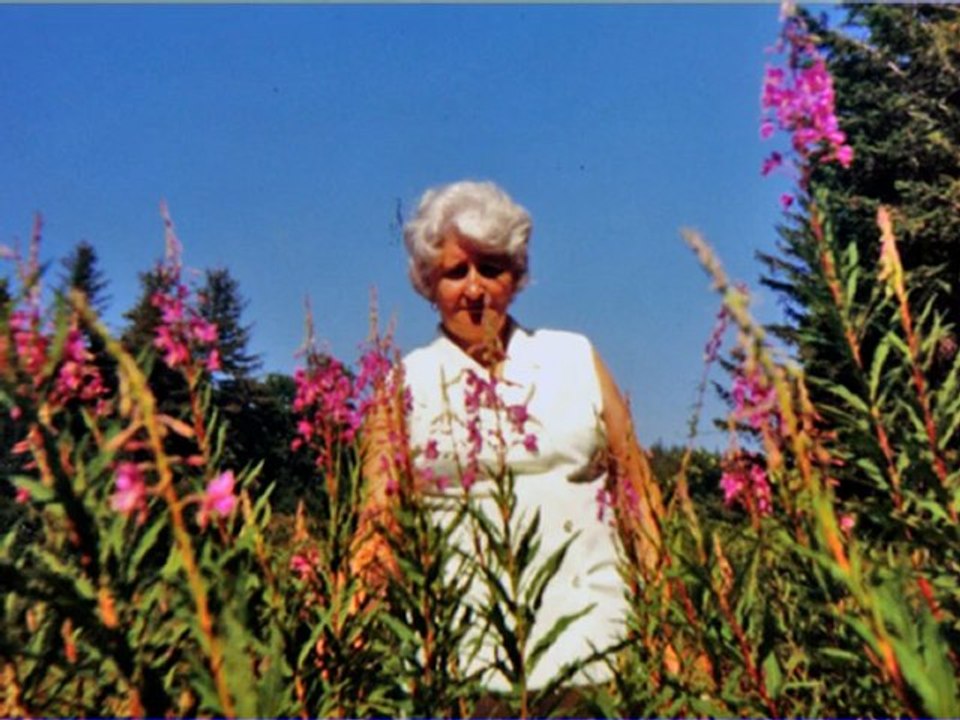 album de famille louis