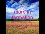 Commodity Futures Trading Commission