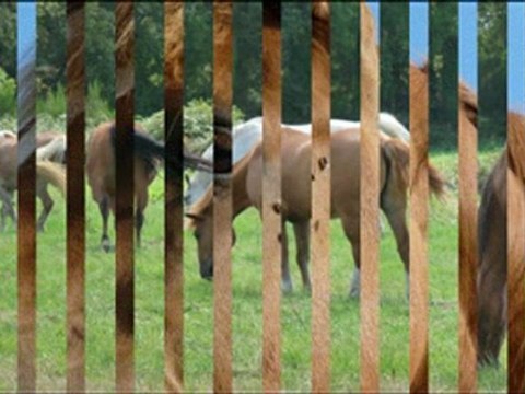 Notre parcours, notre histoire