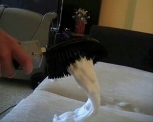 temizlik tanıtım videosu