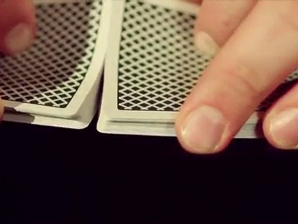 Bee Erdnase Playing Cards