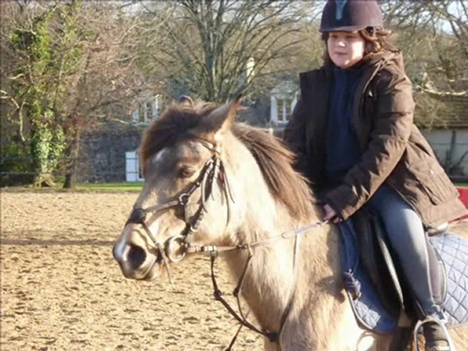 Falabellettes ♥