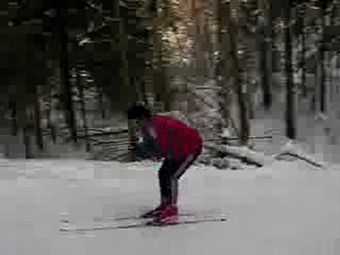 Зимний лес 044