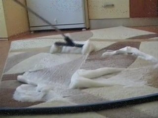 Halı Yıkama Videosu