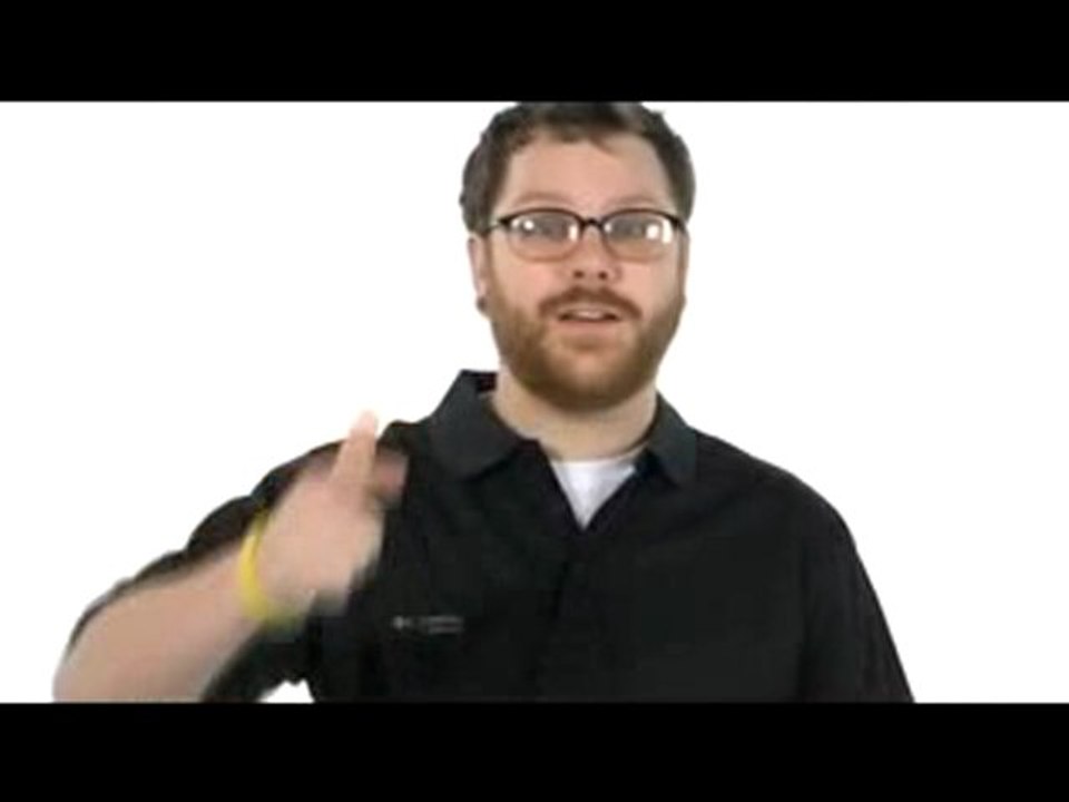 Patagonia Polo Shirt