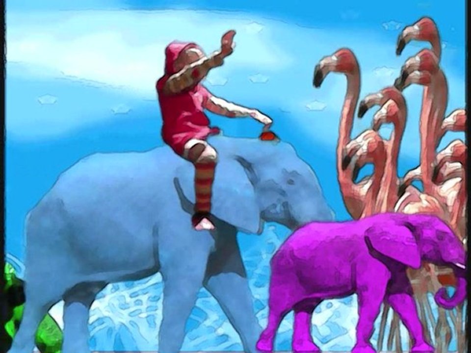 Au pays des flamands roses