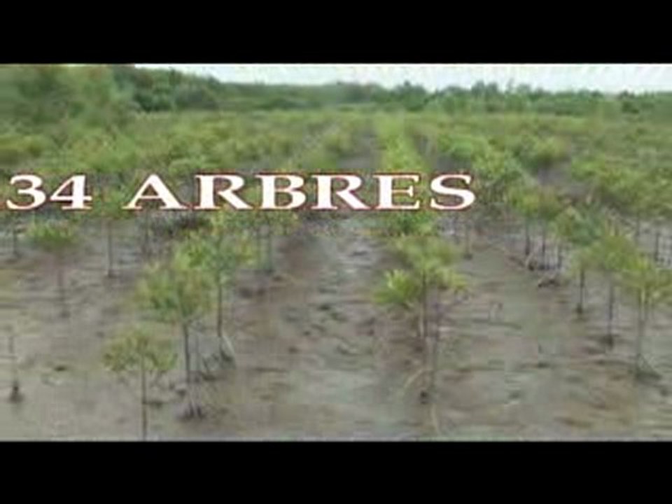 Engagement de Planète Durable: compensation carbone