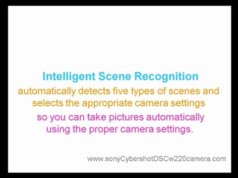 Sony Cybershot DSC W220 Camera Facts