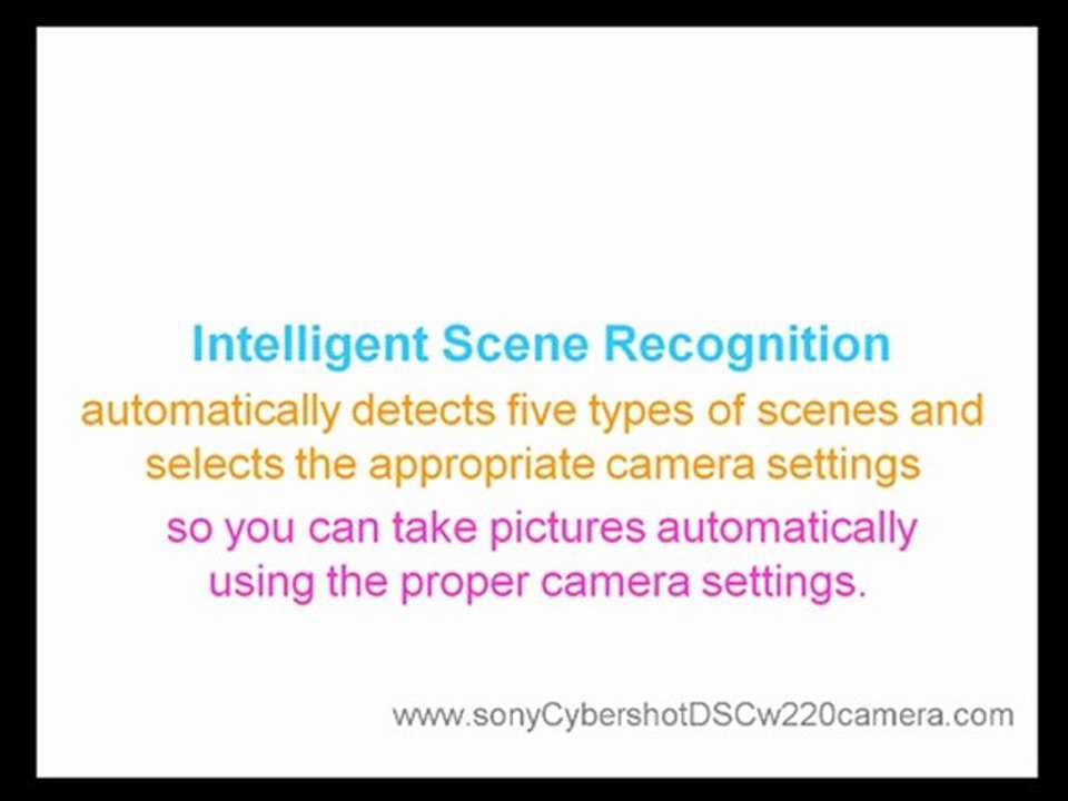 Sony Cybershot DSC W220 Camera Facts