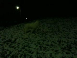 montagne des pyrénées