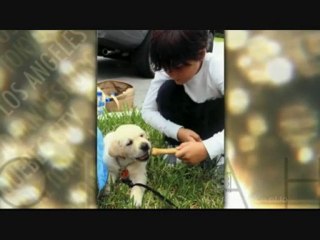 Céline Dion @ Oprah Winfrey Show Fevrier 2010